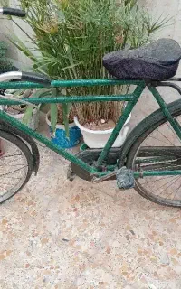 چرخ چینی سه مار کلکسیونی