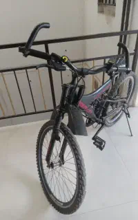 دوچرخه ۲۴،دنده ای