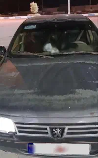 ۴۰۵فروش فوری