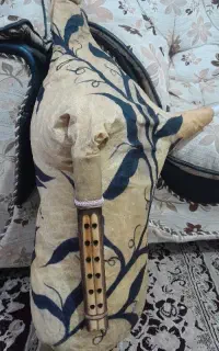 .نی انبان