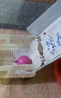 آبخوری  پرندگان ،کبوتر ،مرغ و
