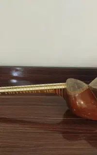 تار حرفه‌ای