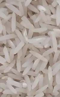 فجر امسال ۳۵۰/۰۰۰