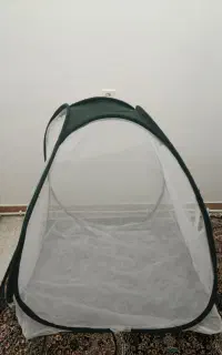 پشه بند بچه