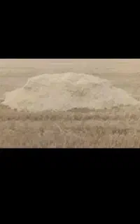 کاه گیرم باکی 650