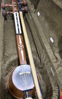 کمانچه استخوانی