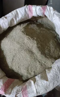 سدر خانگی
