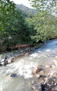 ویلا اجاره ای درجاده اسالم به‌ خلخال کناررودخونه