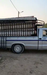 قالیشویی بهار