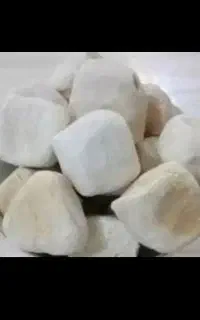 کشک بز