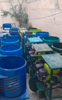 پوست کن گردو وبادام