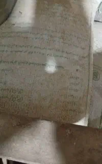 کود سیاه