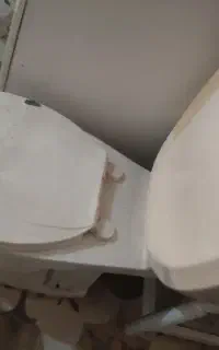 توالت فرنگی