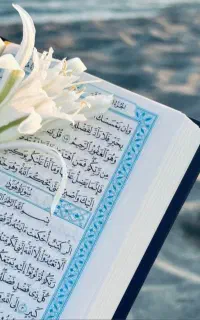 استخاره قرانی