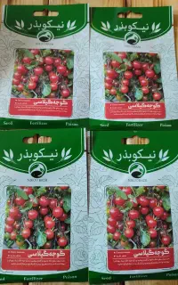 بذر سبزیجات‌، صیفی جات و گل