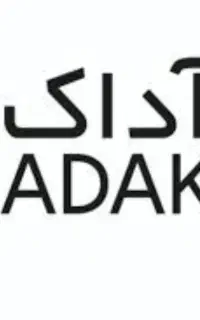 حسابدار خانم