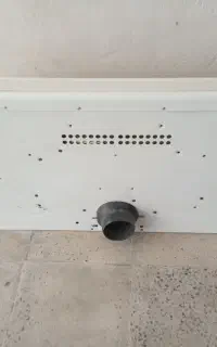 هود