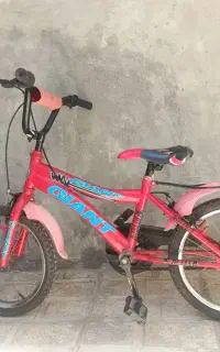 دوچرخه