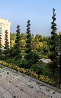 خدمات باغبانی درپاکدشت