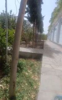 باغبانی