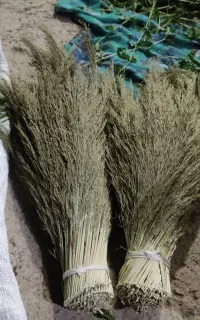 جارو (مرمری)