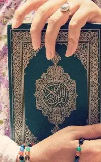 سرکتاب