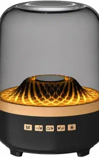 اسپیکر لونکس