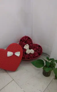 باکس و شاخه گل روبانی