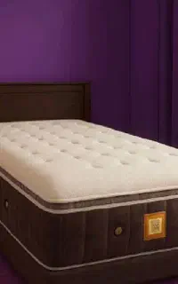 5 شب طلایی تشک آغاز شد