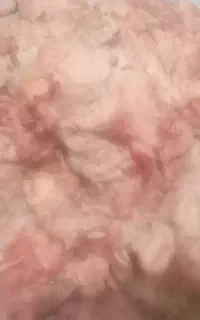 چربی وشهله گوساله