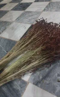جارو سنتی درجه یک  ذرتی