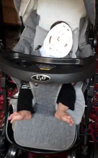 کالسکه چیکو نو