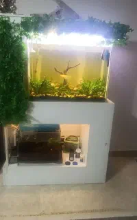 اکواریوم 10میل