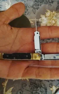یک عدد چاقو کلکسیونی