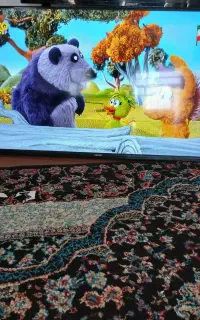 ال ای دی ۴۳
