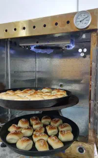 تنورگازی دو قلو دوچدن50