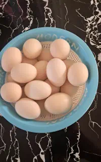 تخم مرغ گلین