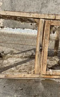 قفس جفتگاه چوبی کبوتر