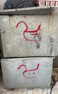 جا یخی سالم