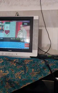 تلوزیون