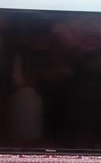 تلویزیون