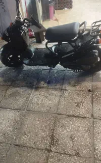 پاکشتی زومر