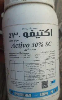 اکتیفو البرج