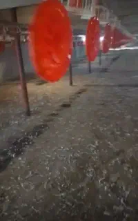 کودمرغی،سالنی،قفسی .وکودگاوی