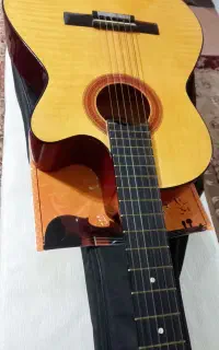 گیتار  اسمی
