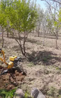 شخم زنی در تمام نقاط آذربایجان شرقی
