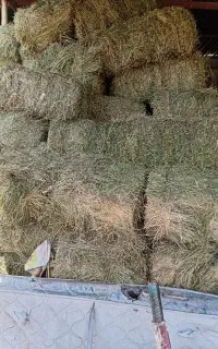 پرس یونجه خشک