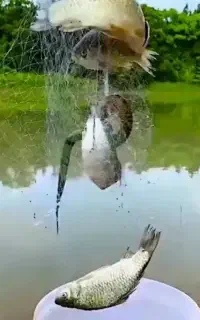 تور ماهیگیری موشکی،مفت گیر