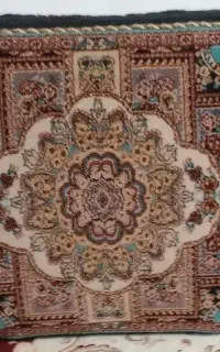یک جفت پشتی
