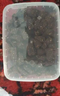 قند بی شکر محلی